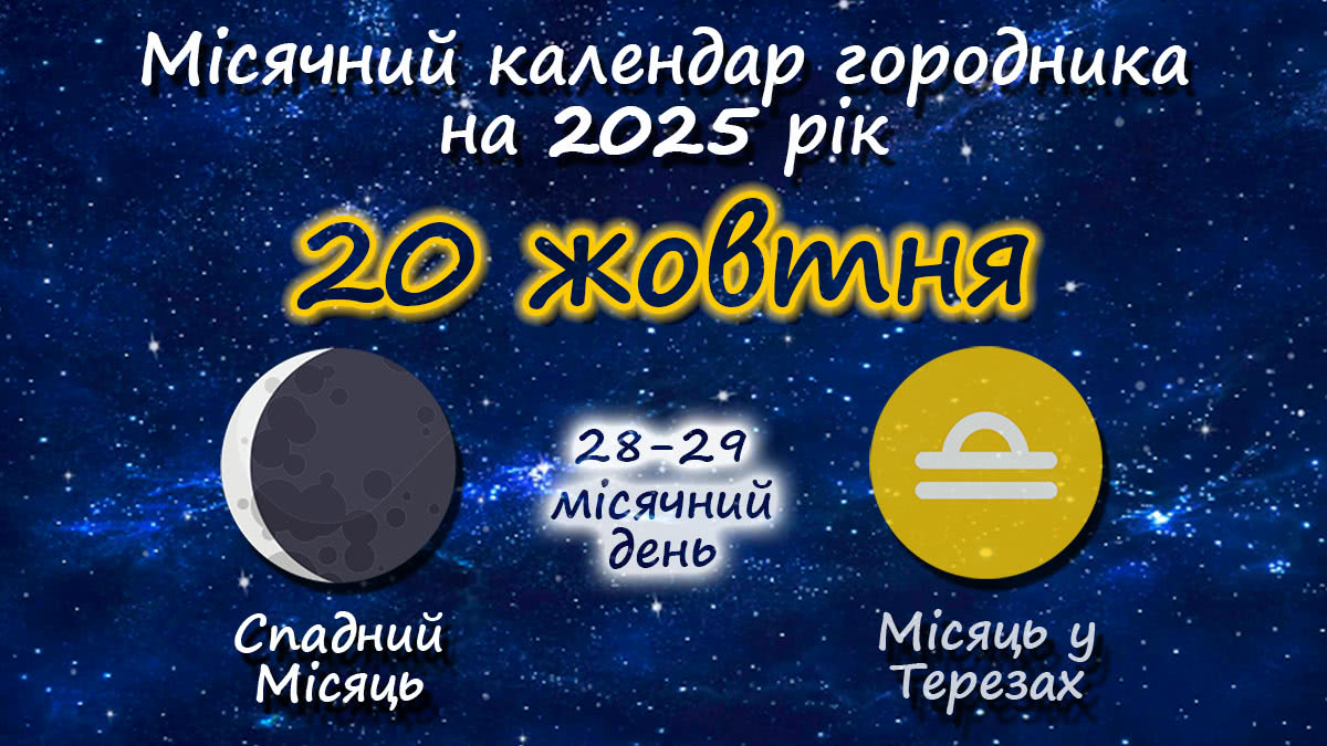 Місячний календар садівника-городника на 20 жовтня 2025 року