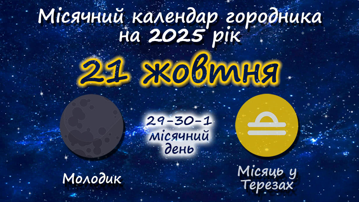 Місячний календар садівника-городника на 21 жовтня 2025 року