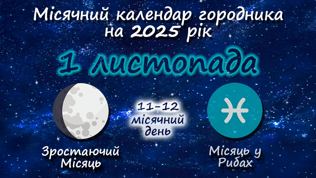 Місячний календар садівника-городника на 1 листопада 2025 року