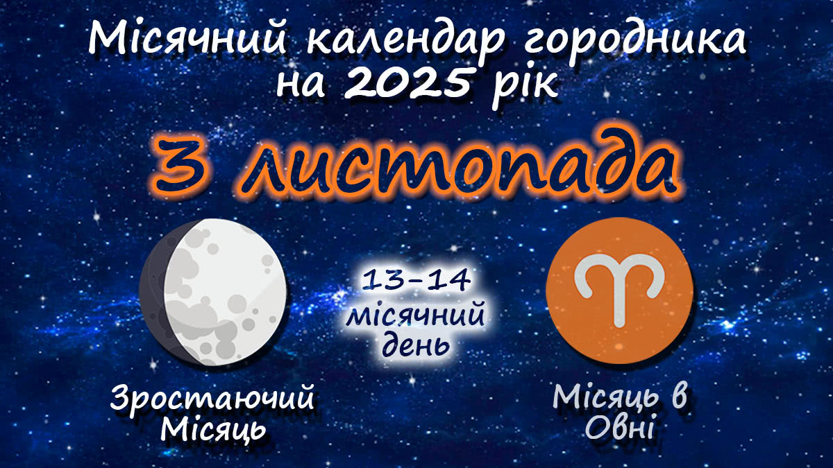 Місячний календар садівника-городника на 3 листопада 2025 року