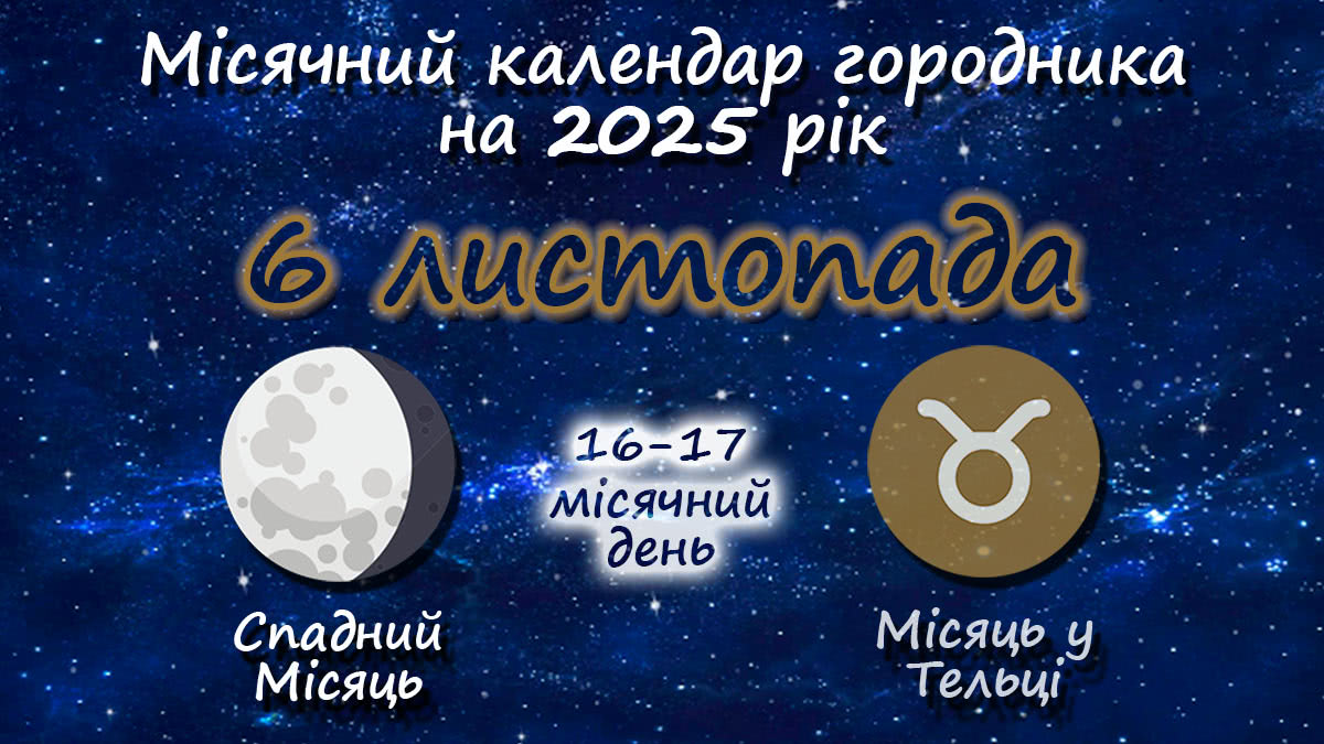 Місячний календар садівника-городника на 6 листопада 2025 року