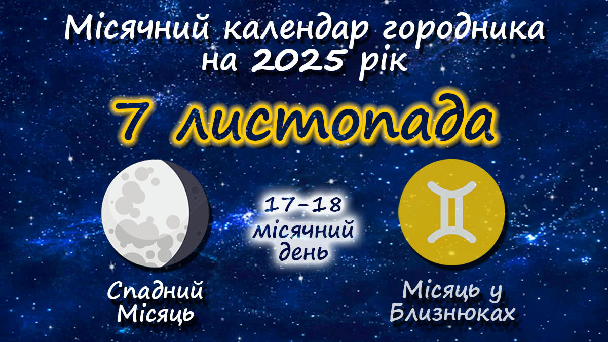 Місячний календар садівника-городника на 7 листопада 2025 року