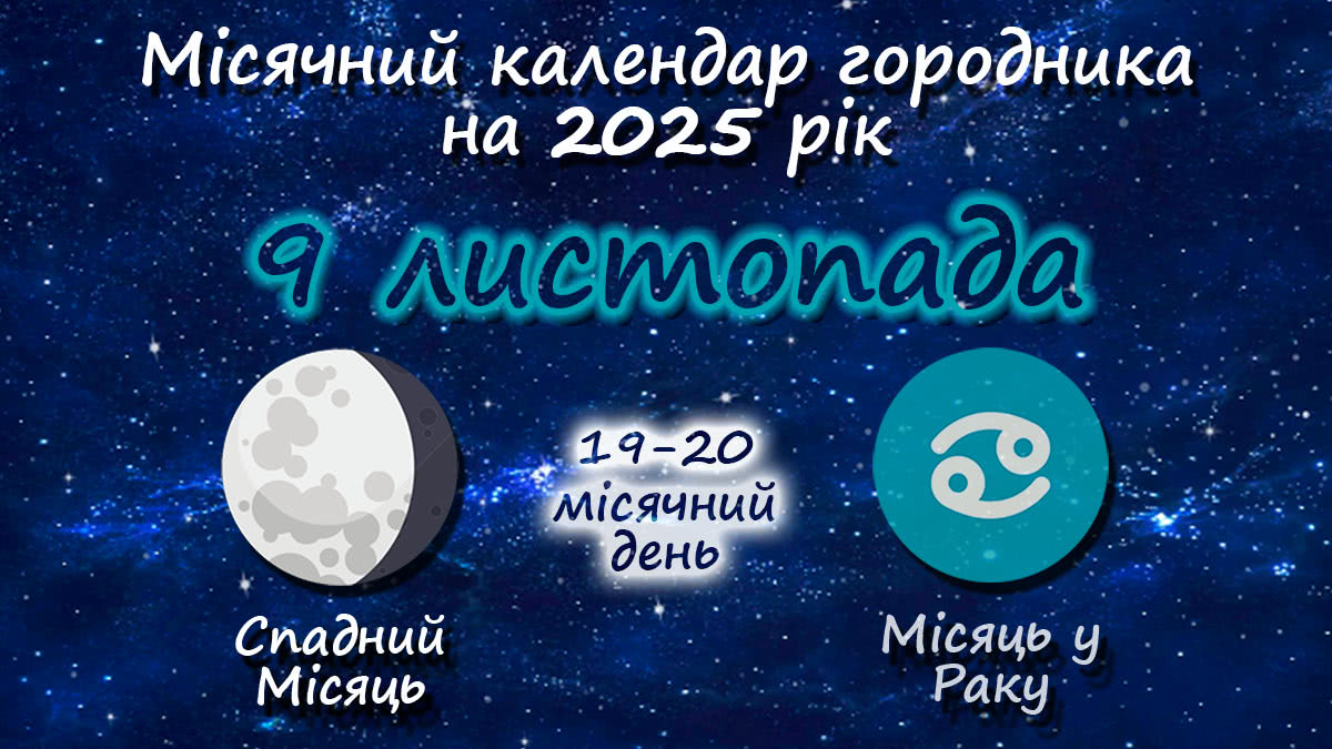 Місячний календар садівника-городника на 9 листопада 2025 року