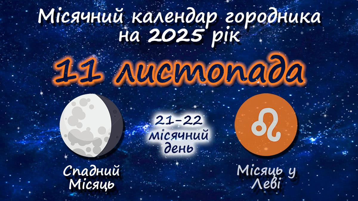 Місячний календар садівника-городника на 11 листопада 2025 року