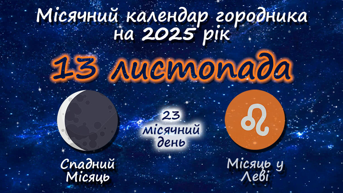 Місячний календар садівника-городника на 13 листопада 2025 року