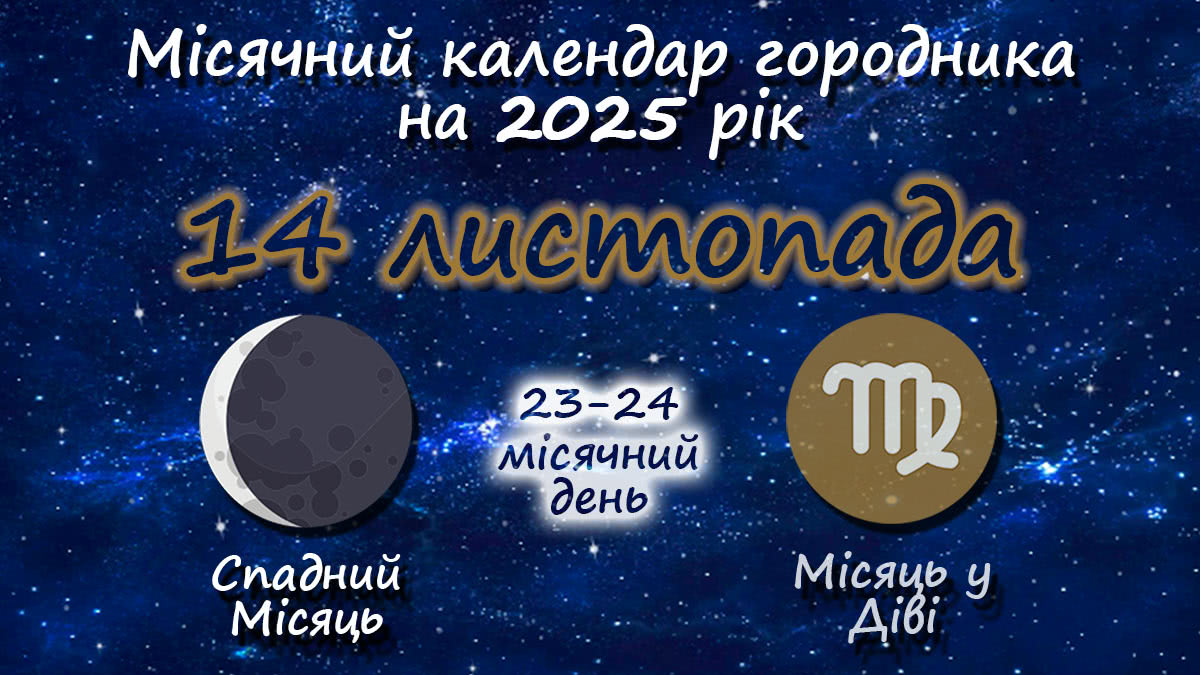 Місячний календар садівника-городника на 14 листопада 2025 року