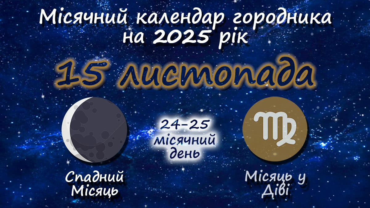 Місячний календар садівника-городника на 15 листопада 2025 року