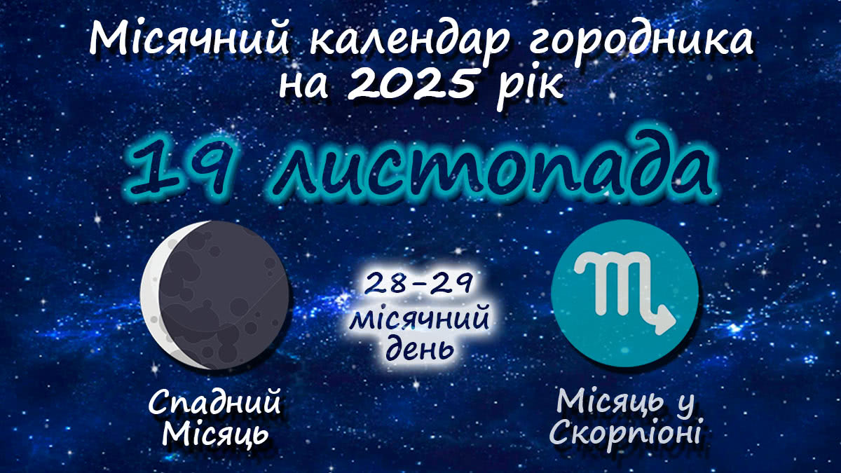 Місячний календар садівника-городника на 19 листопада 2025 року