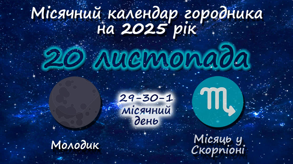 Місячний календар садівника-городника на 20 листопада 2025 року
