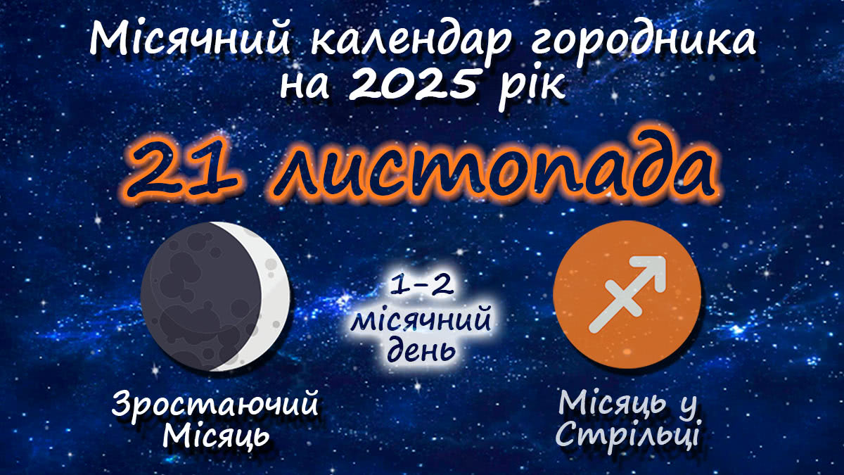 Місячний календар садівника-городника на 21 листопада 2025 року