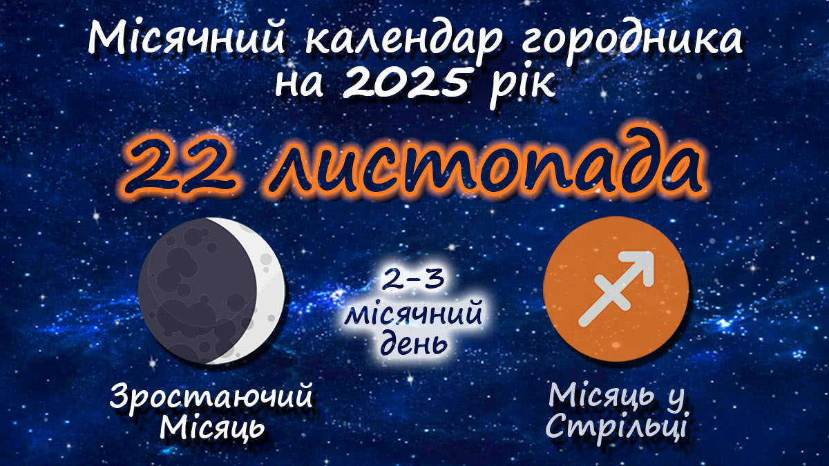 Місячний календар садівника-городника на 22 листопада 2025 року