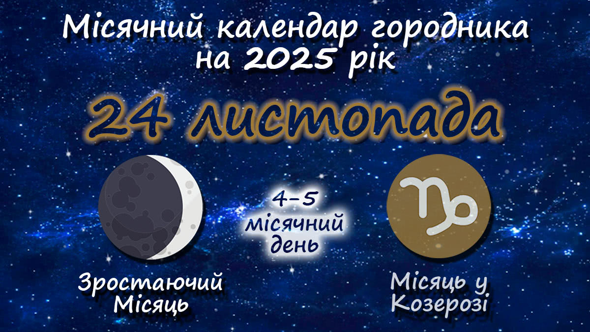 Місячний календар садівника-городника на 24 листопада 2025 року
