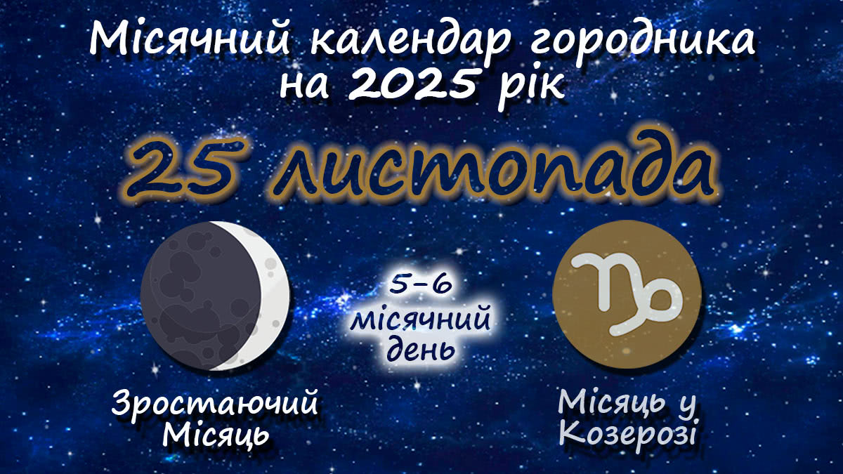Місячний календар садівника-городника на 25 листопада 2025 року