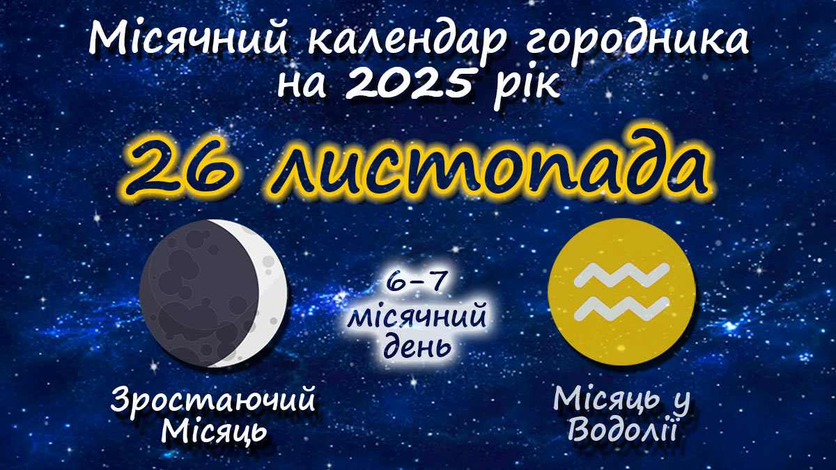 Місячний календар садівника-городника на 26 листопада 2025 року