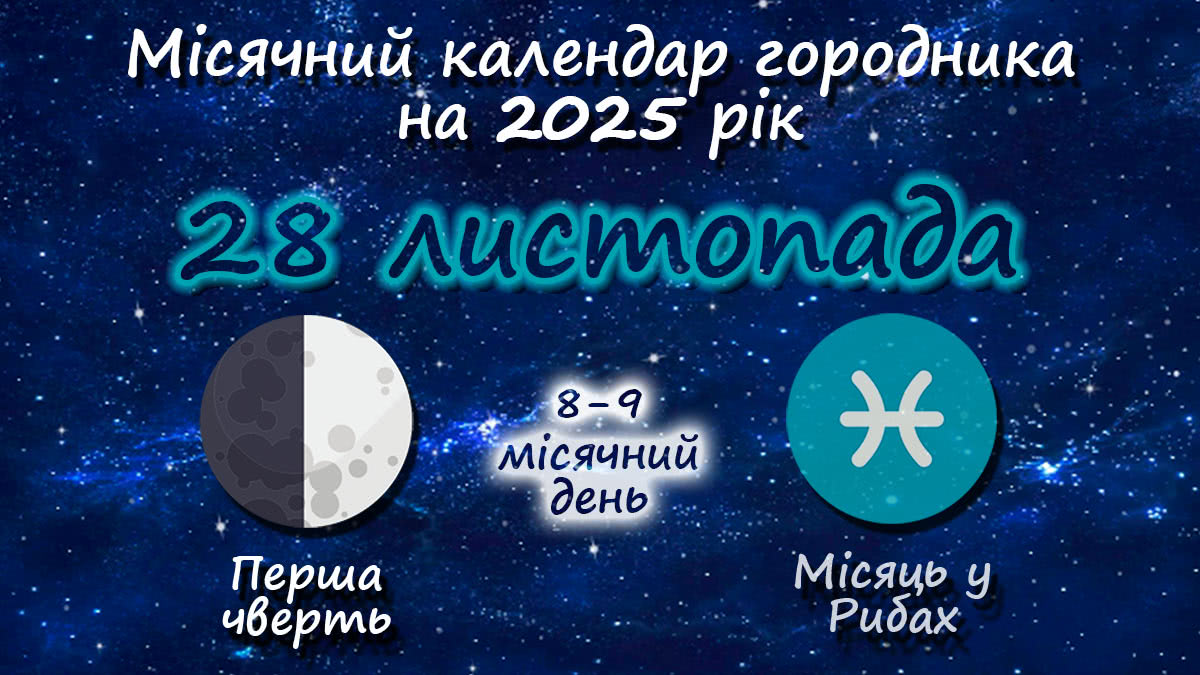 Місячний календар садівника-городника на 28 листопада 2025 року