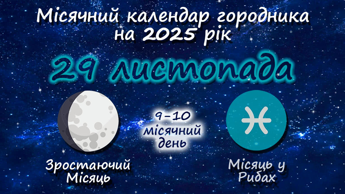 Місячний календар садівника-городника на 29 листопада 2025 року