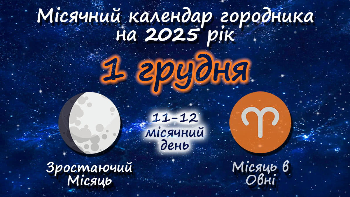 Місячний календар садівника-городника на 1 грудня 2025 року