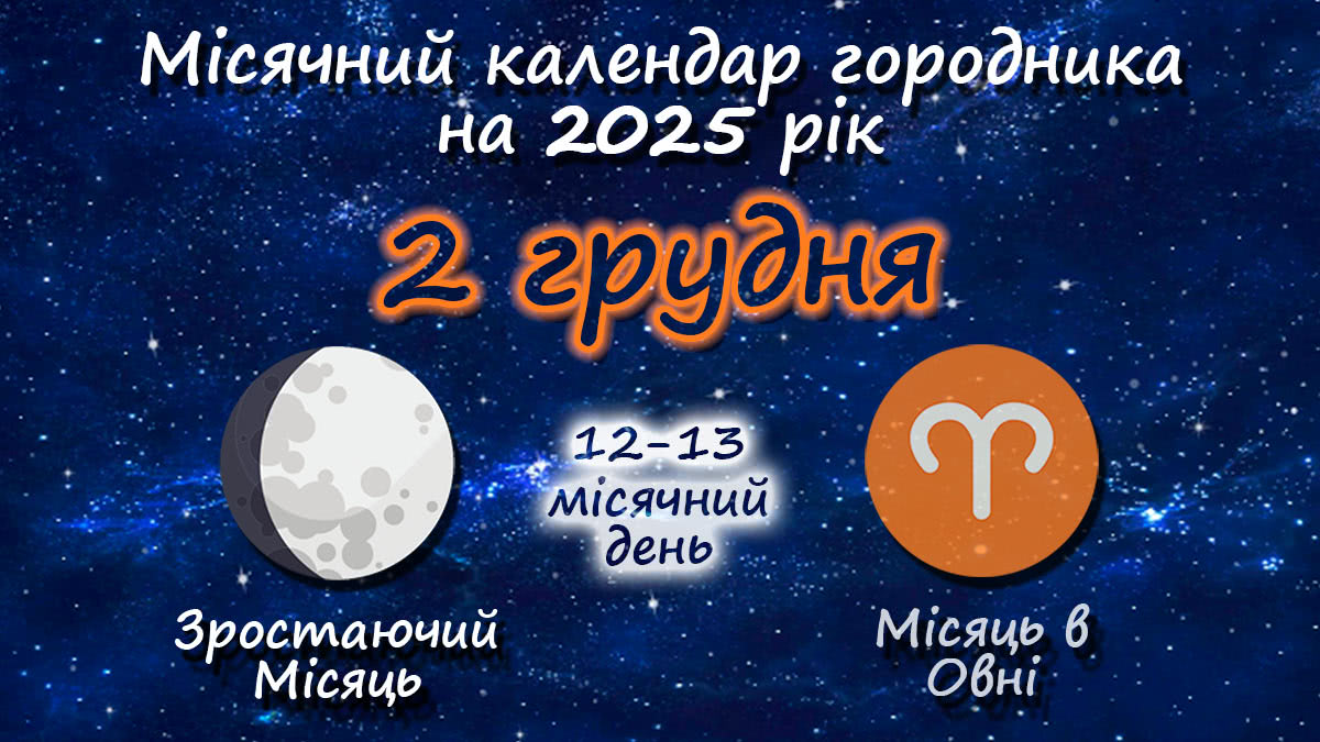 Місячний календар садівника-городника на 2 грудня 2025 року