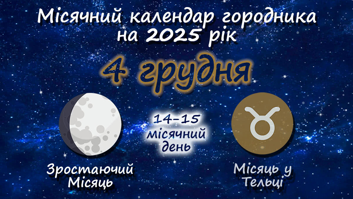 Місячний календар садівника-городника на 4 грудня 2025 року