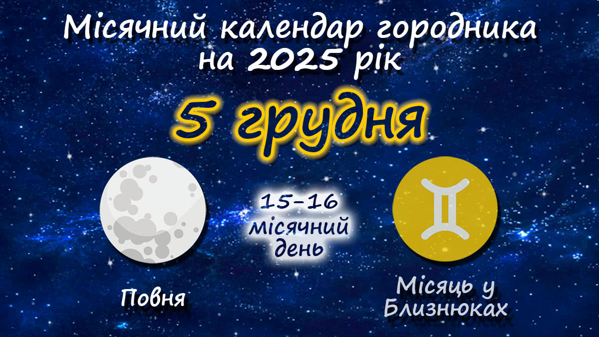 Місячний календар садівника-городника на 5 грудня 2025 року