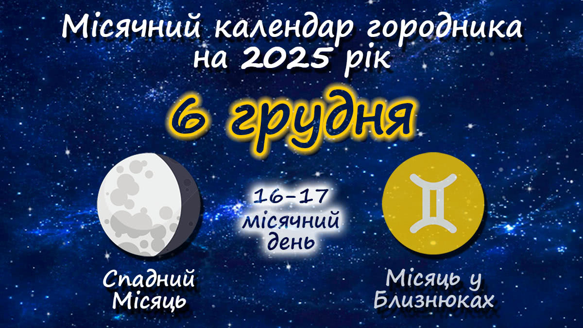 Місячний календар садівника-городника на 6 грудня 2025 року