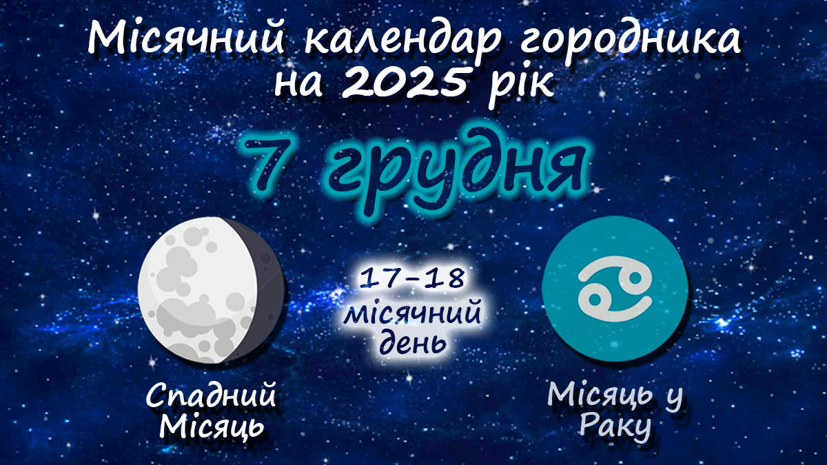 Місячний календар садівника-городника на 7 грудня 2025 року