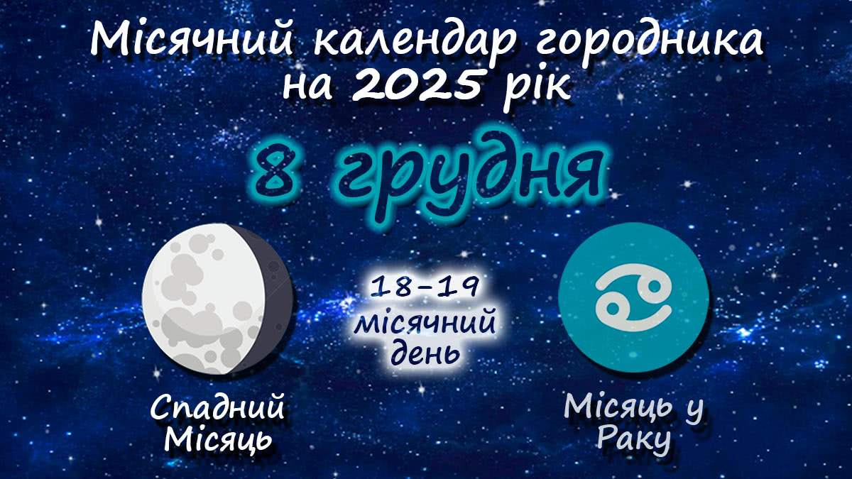 Місячний календар садівника-городника на 8 грудня 2025 року