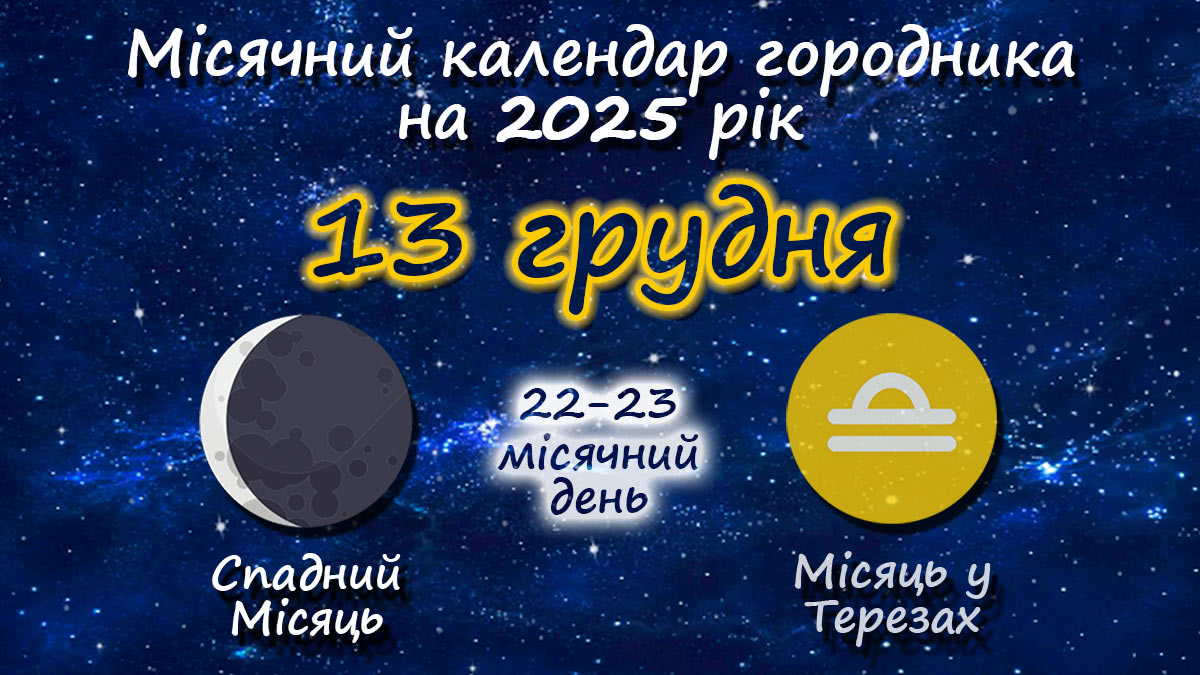 Місячний календар садівника-городника на 13 грудня 2025 року