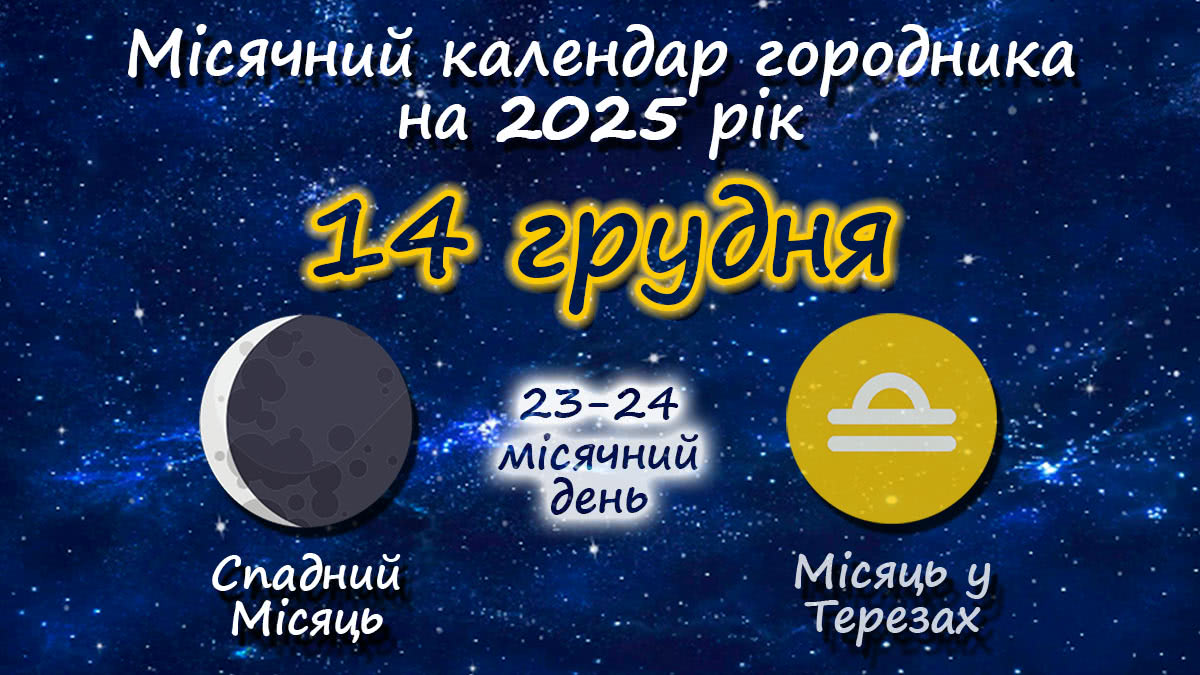 Місячний календар садівника-городника на 14 грудня 2025 року