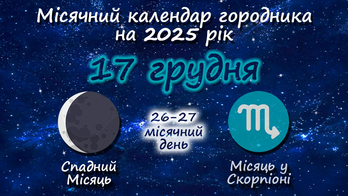 Місячний календар садівника-городника на 17 грудня 2025 року