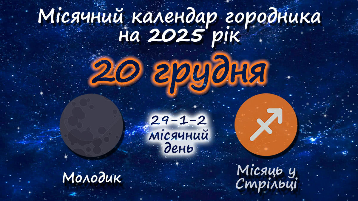 Місячний календар садівника-городника на 20 грудня 2025 року