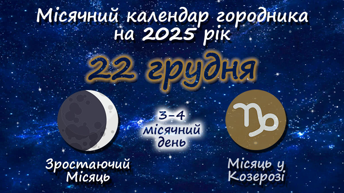 Місячний календар садівника-городника на 22 грудня 2025 року