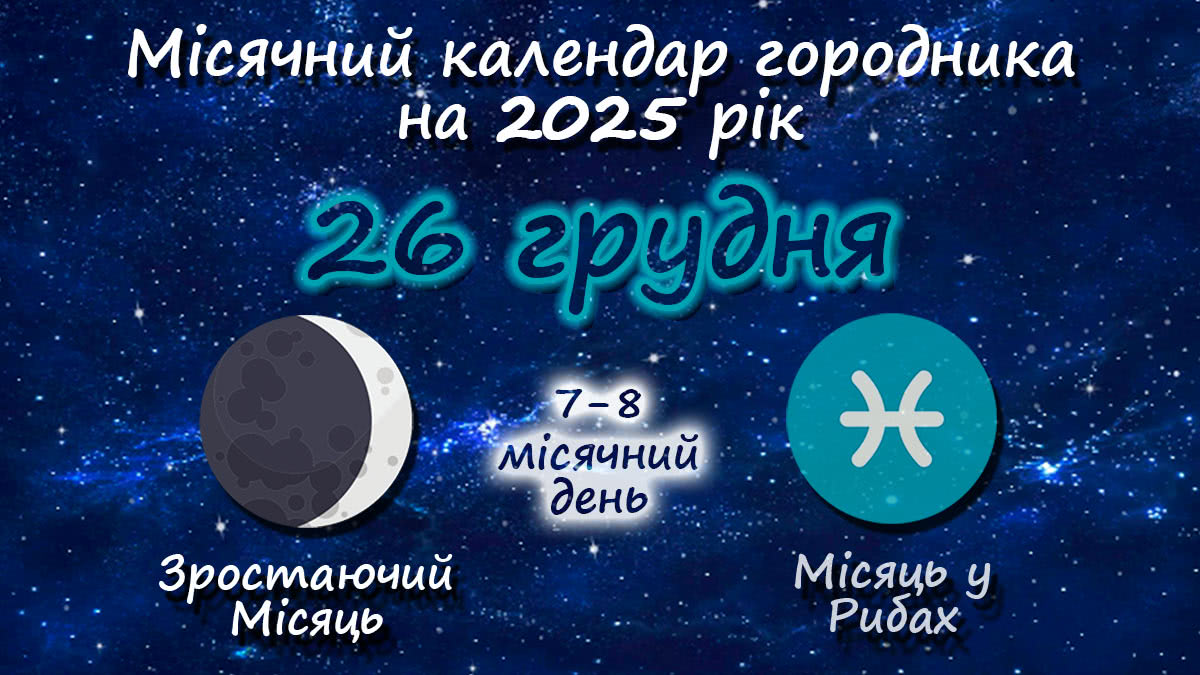 Місячний календар садівника-городника на 26 грудня 2025 року