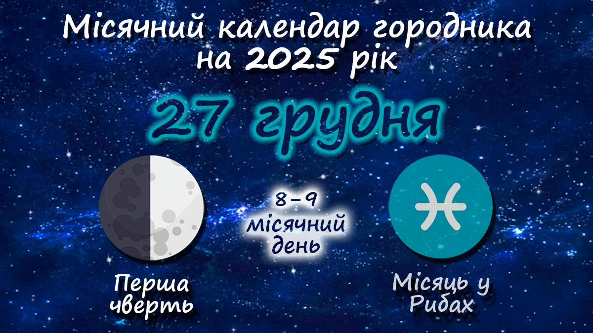 Місячний календар садівника-городника на 27 грудня 2025 року