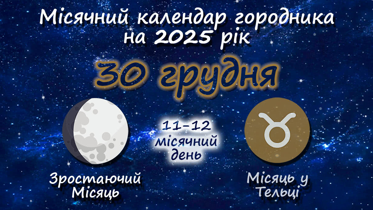 Місячний календар садівника-городника на 30 грудня 2025 року