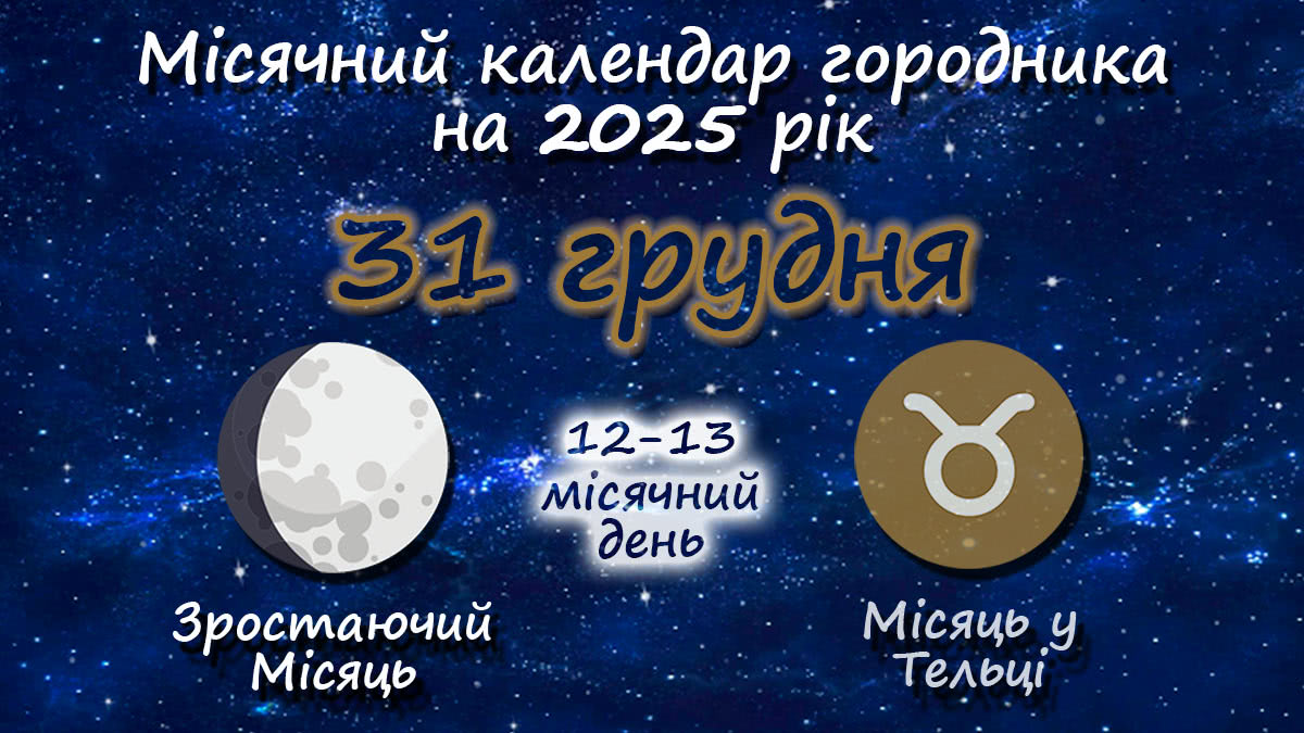 Місячний календар садівника-городника на 31 грудня 2025 року
