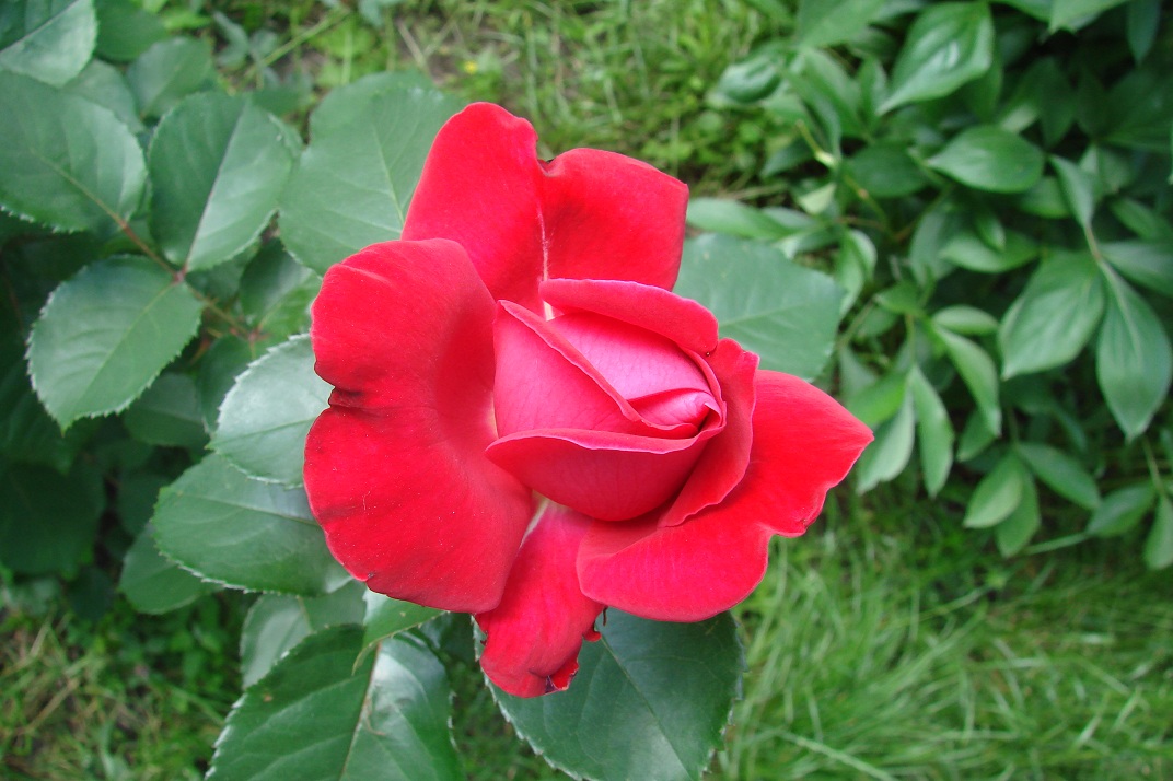 DSC07840