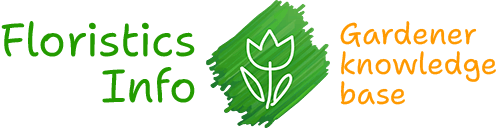Floristics – horticultural, garden and indoor plants: planting, care and cultivation