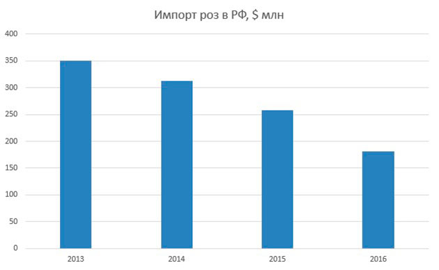 Импорт роз в РФ