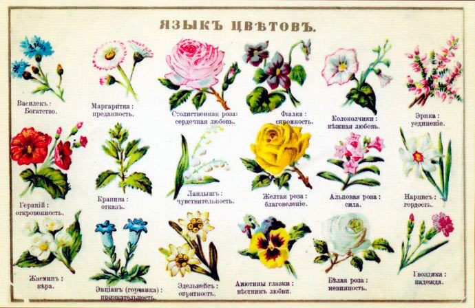 Язык цветов