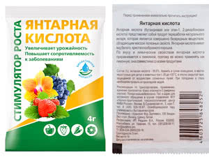 Инструкция по применению Янтарной кислоты