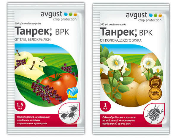 Танрек – инструкция по применению