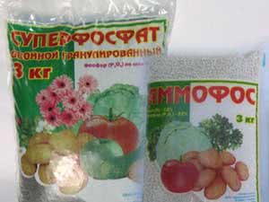 Суперфосфат и аммофос