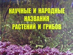 Названия комнатных цветов