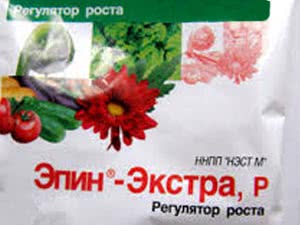 Удобрение для подкормки рассады
