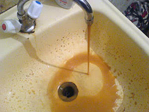 Водопроводная вода для полива цветов