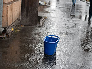 Дождевая вода для полива растений