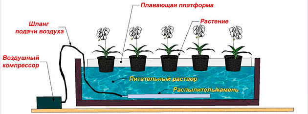 Схема гидропоники