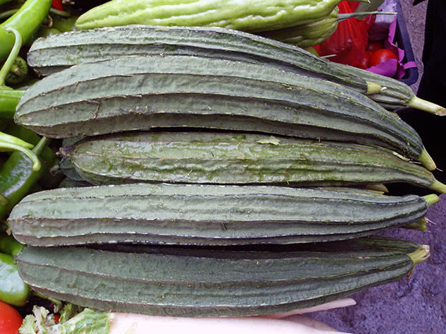 Люфа гостроребриста (Luffa acutangula)