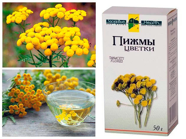 Раствор пижмы